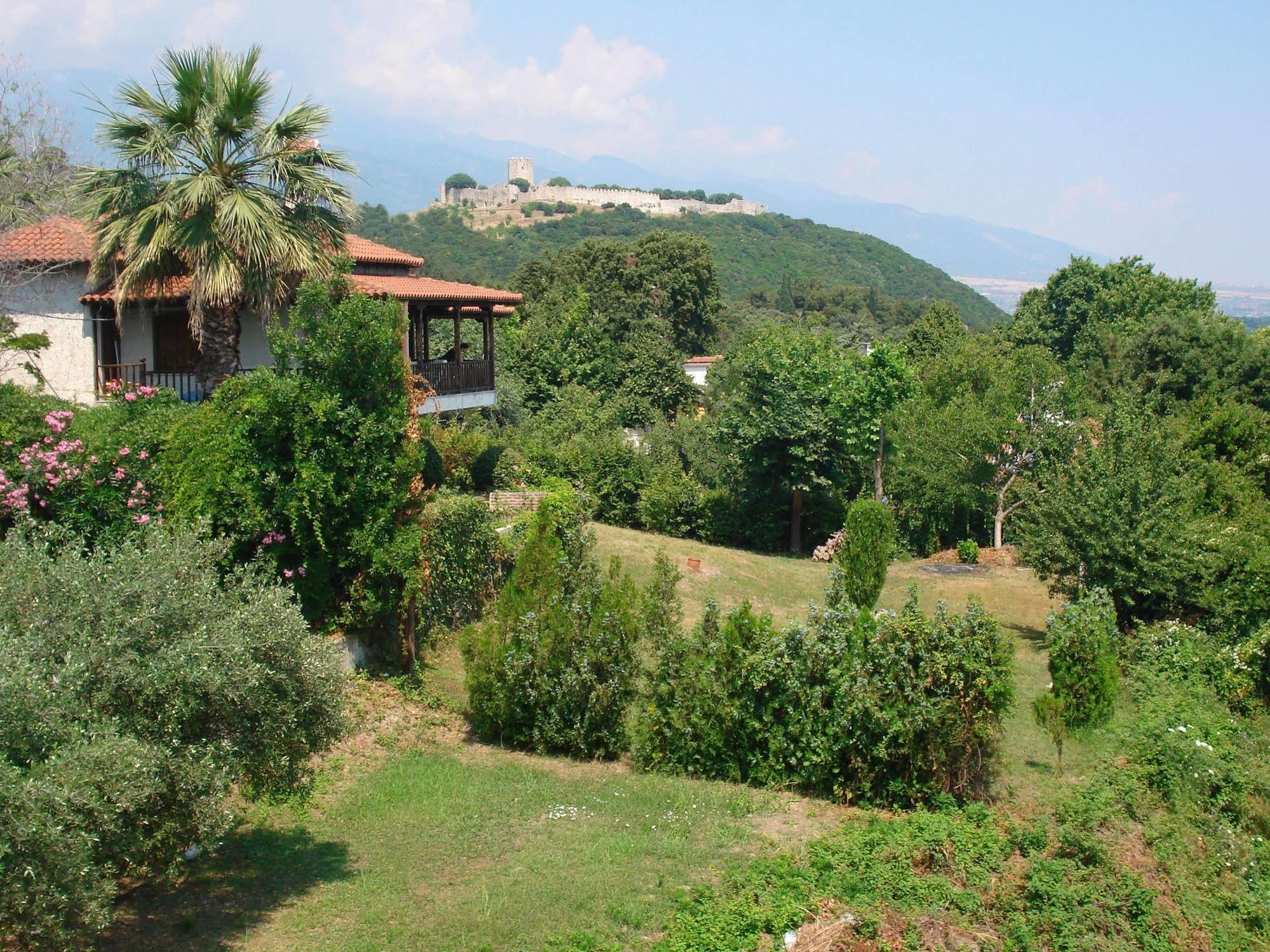 Hotel Alkyonis Platamonas Ngoại thất bức ảnh